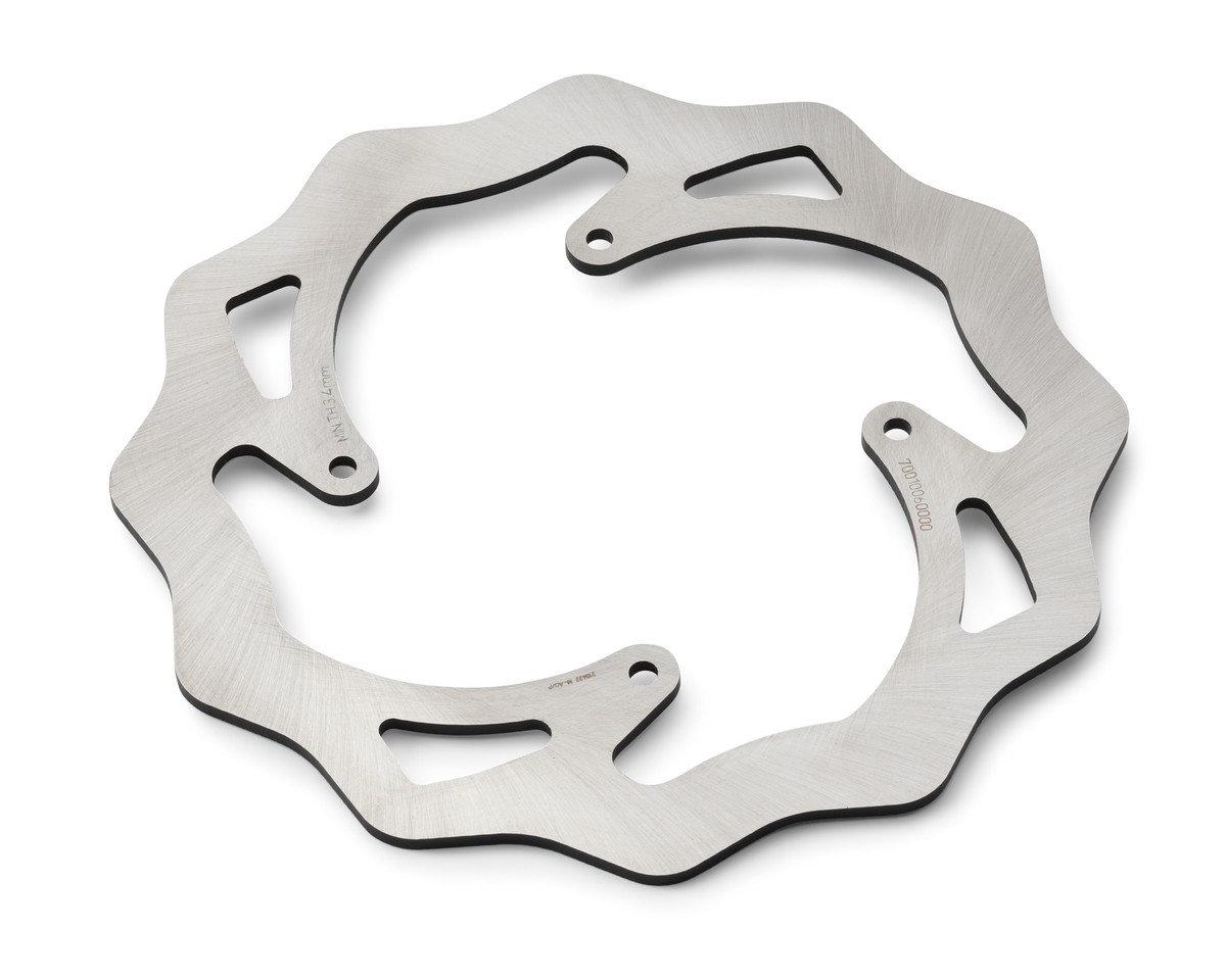 Bremsscheibe Hinten