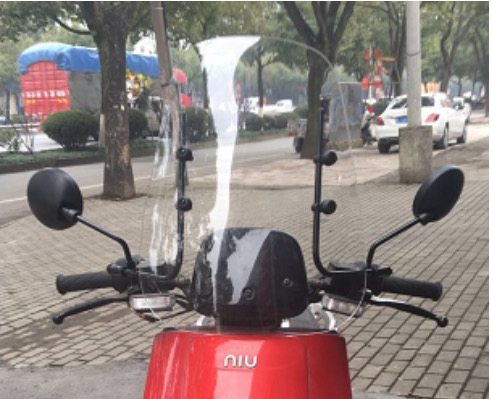 Windschild