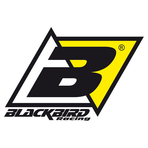 Blackbird