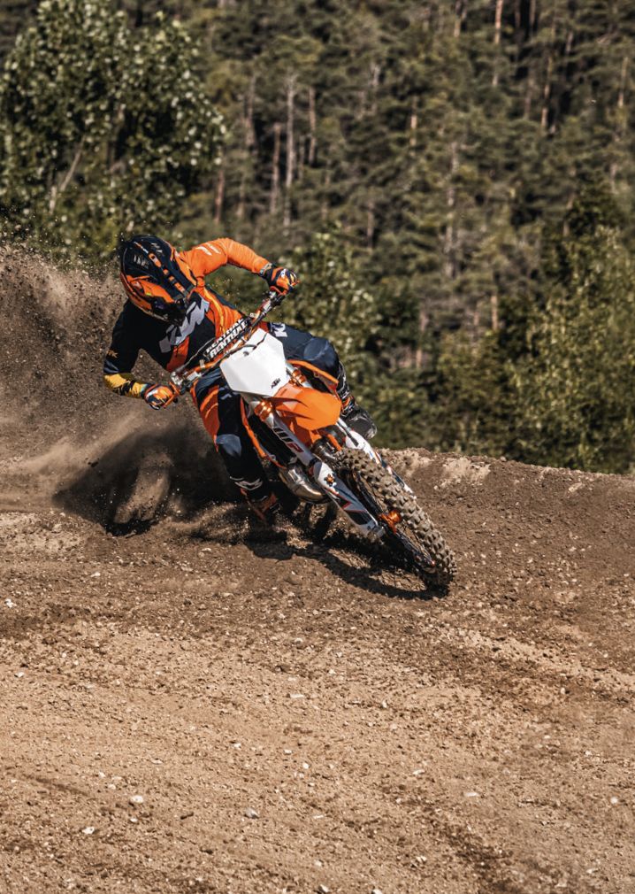 Bild für Kategorie DIRT RACER